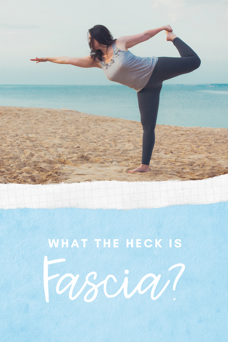 what is fascia?